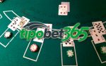 tipobet blackjack